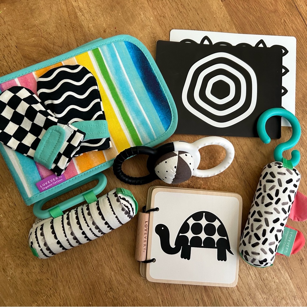 Lovevery “Looker” Play Kit